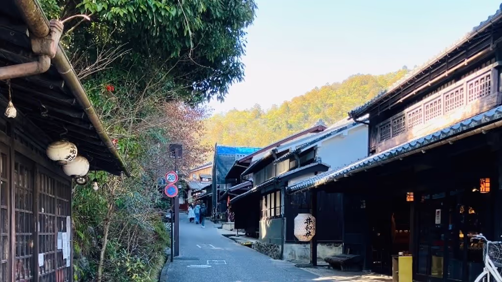 Kyoto Private Tour - Saga-Toriimoto Historic Street