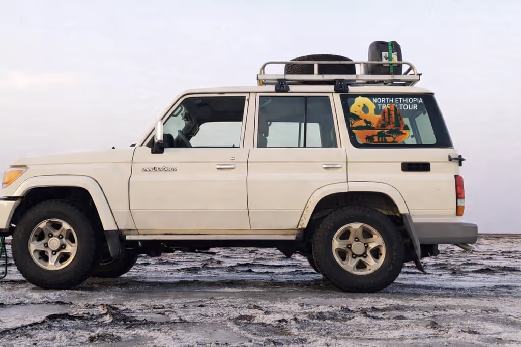 Addis Ababa Private Tour - 
