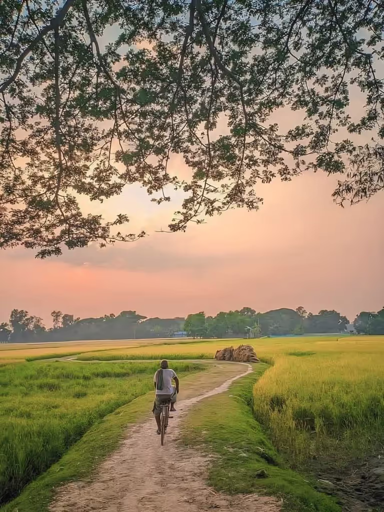 Dhaka Private Tour - 