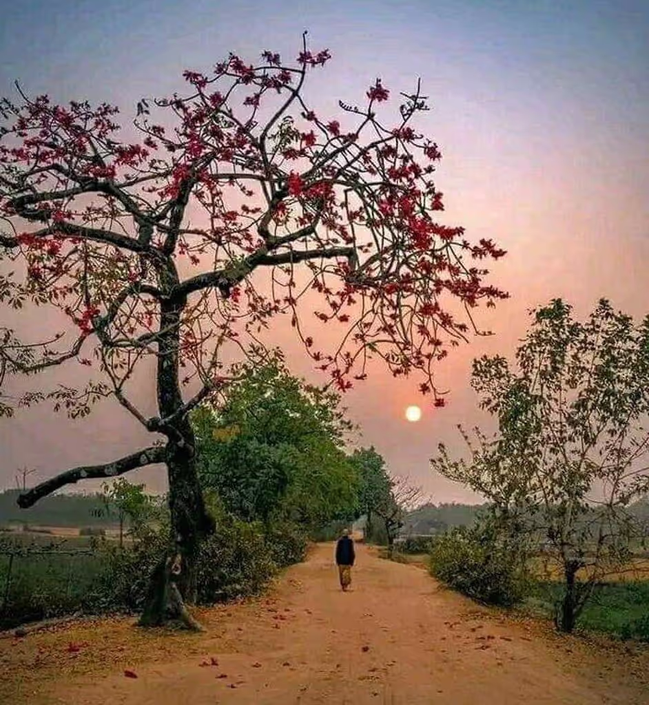 Dhaka Private Tour - 