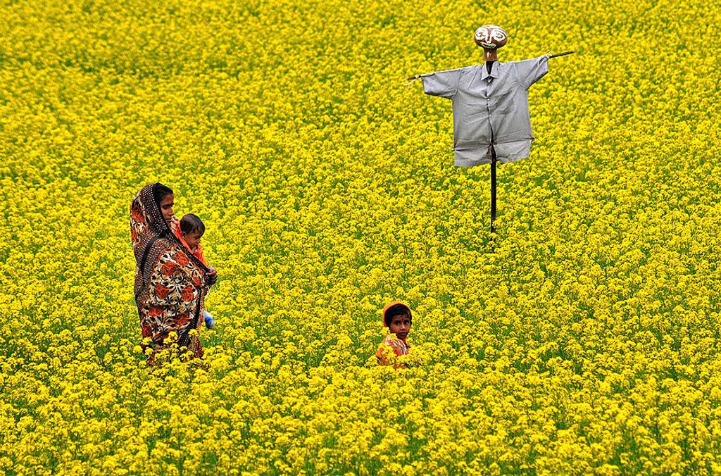 Dhaka Private Tour - 