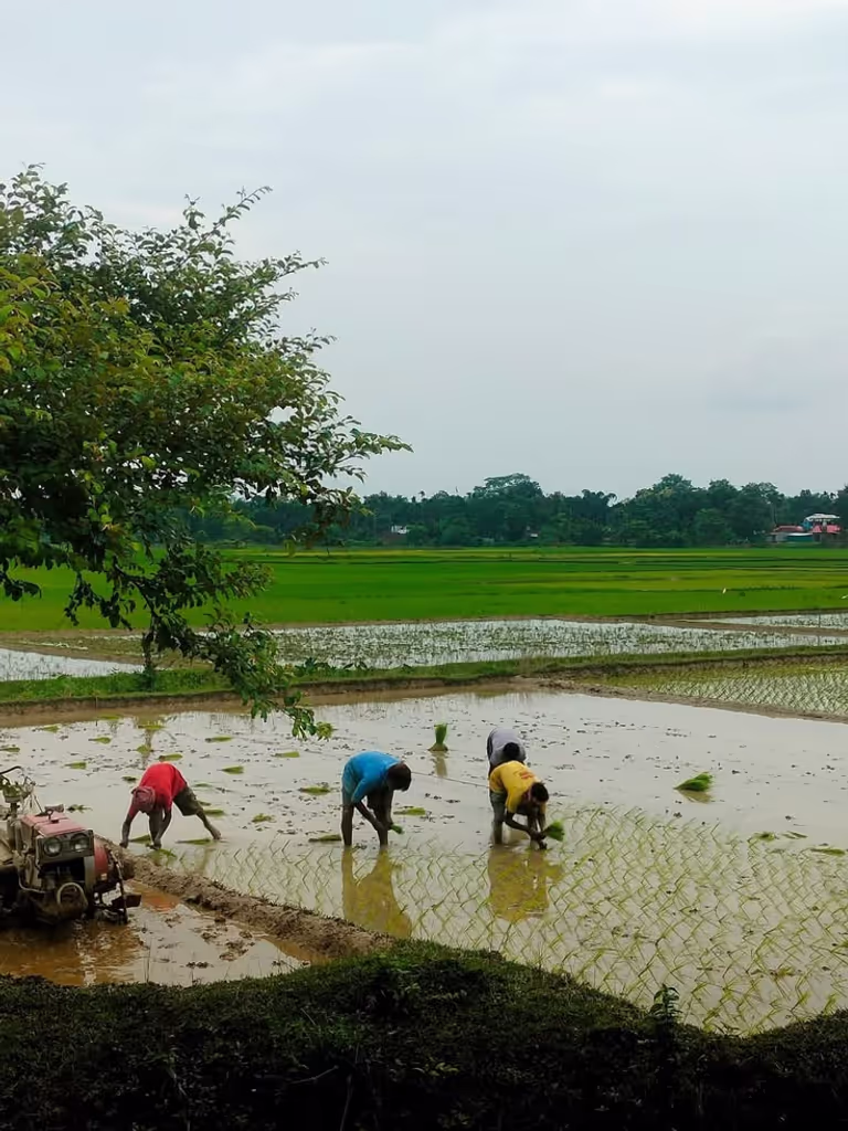 Dhaka Private Tour - 