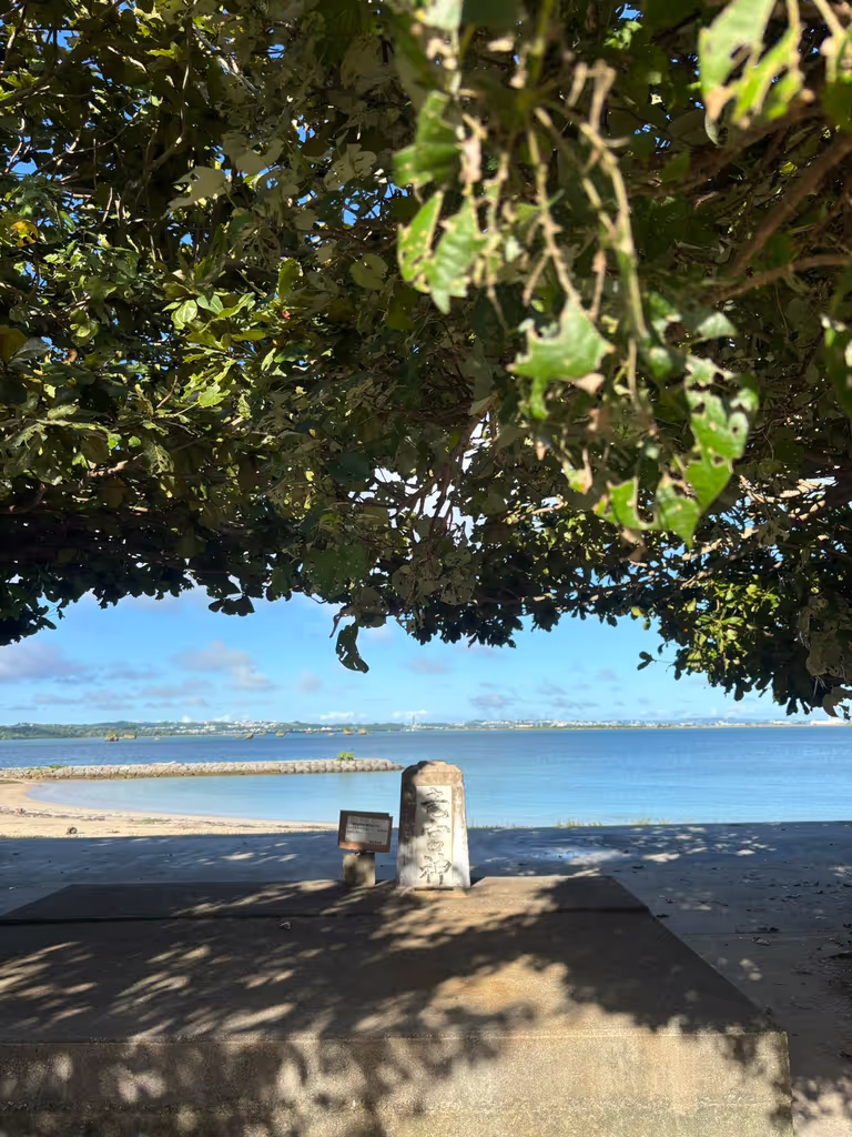 Okinawa Main Island Private Tour - local beac