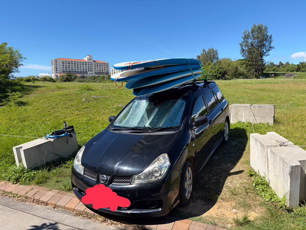 Okinawa Main Island Private Tour - my car 2