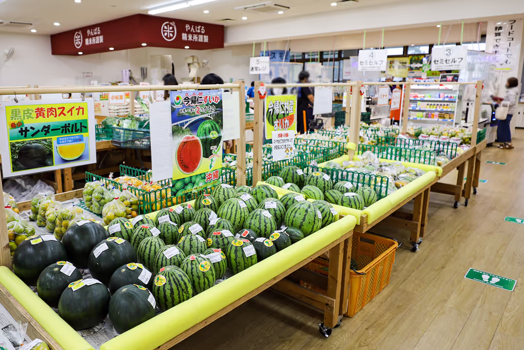 Okinawa Main Island Private Tour - farmers market