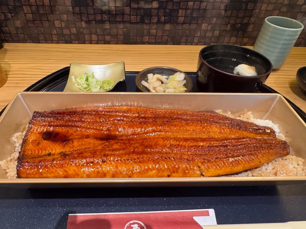 Tokyo Private Tour - Japanese grilled eel on rice