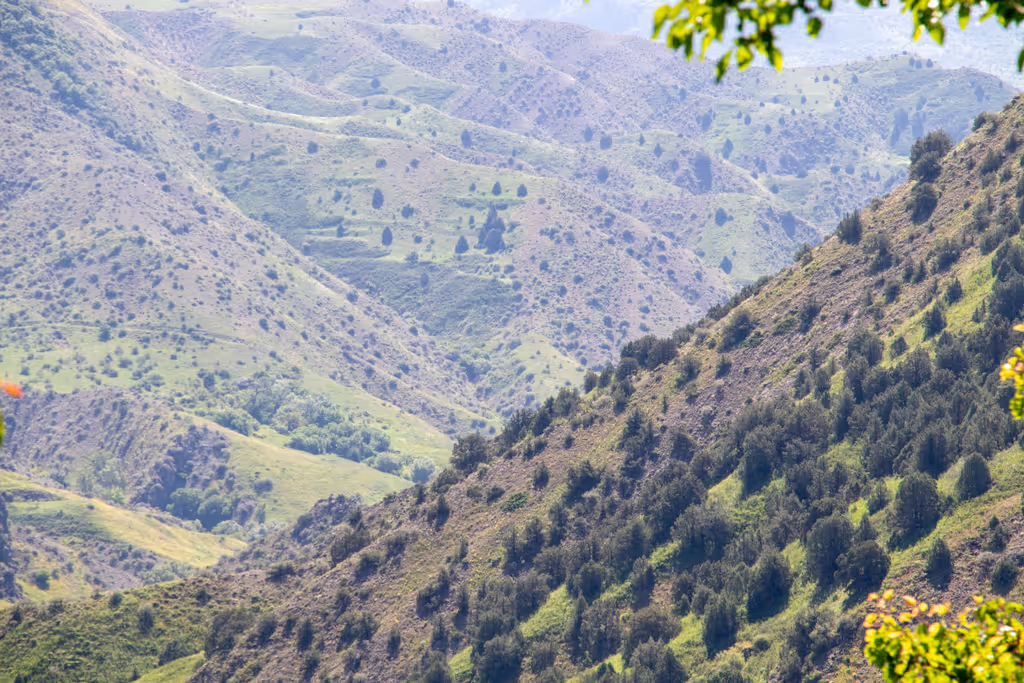 Yerevan Private Tour - The majestic Garni Mountains