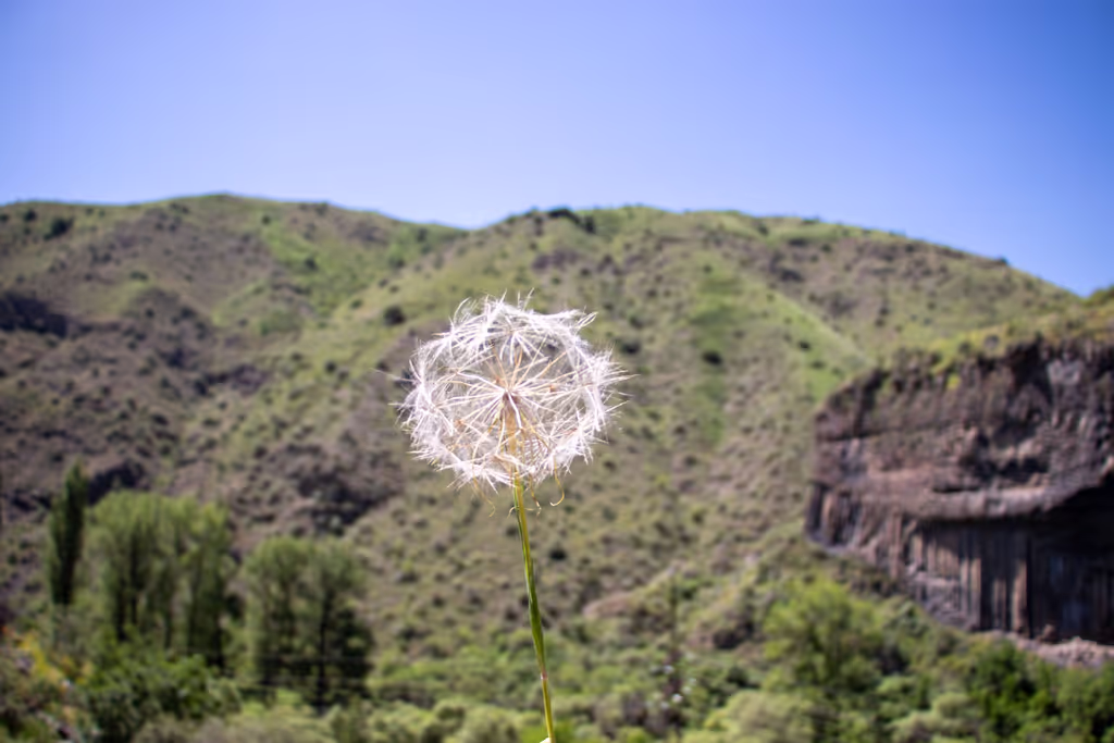 Yerevan Private Tour - iscovering the small wonders of the Garni landscap