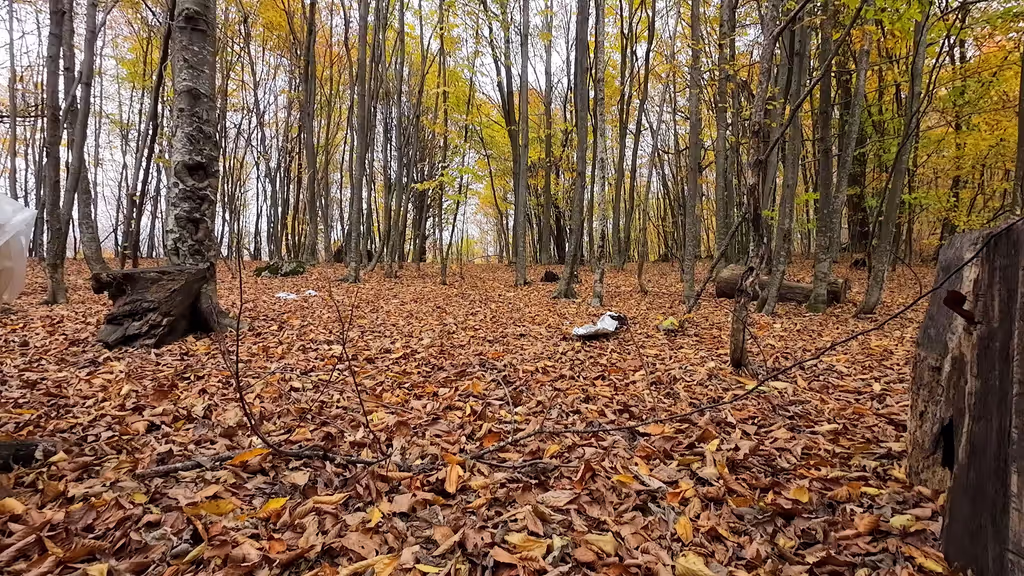 Yerevan Private Tour - Discovering hidden trails from Parz Lake to Goshav