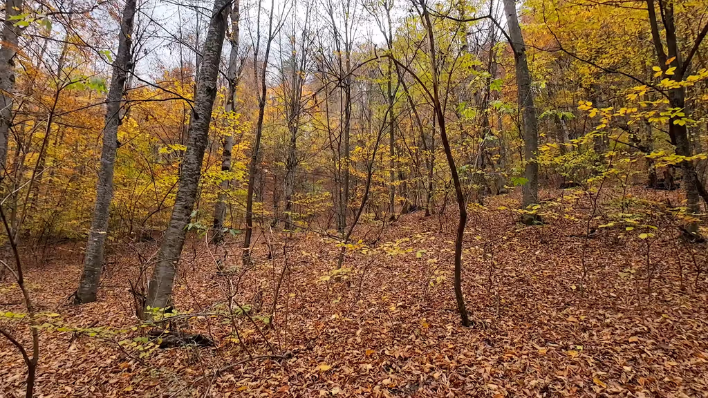 Yerevan Private Tour - Discovering hidden trails from Parz Lake to Goshav