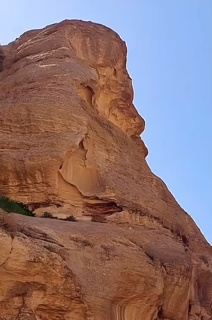 Aqaba Private Tour - 