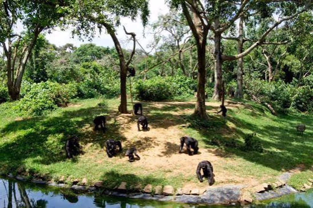 Kampala Private Tour - 