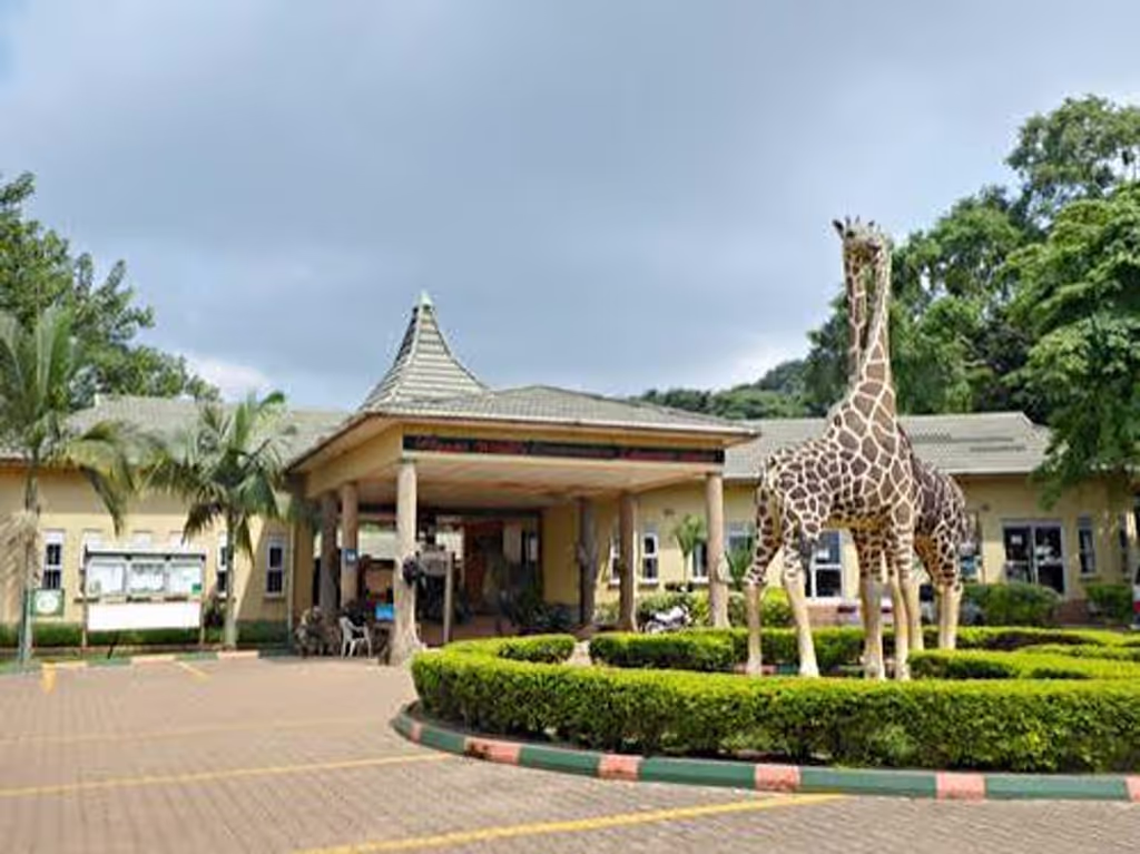 Kampala Private Tour - 