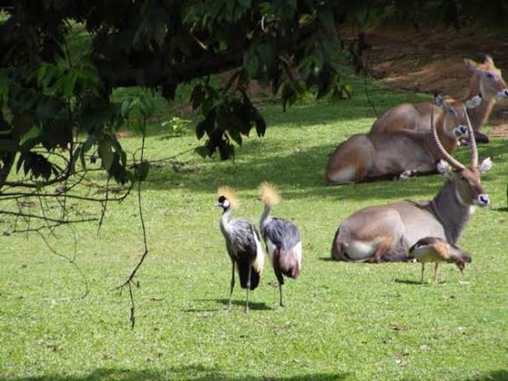 Kampala Private Tour - 