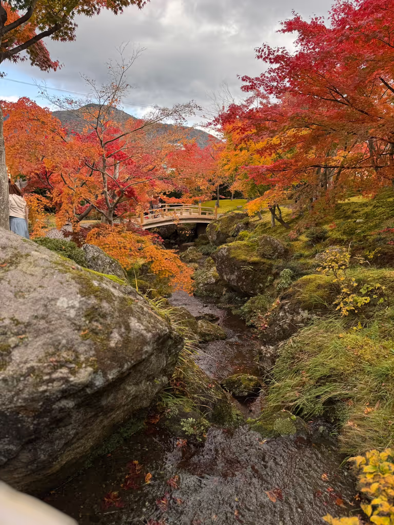 Hakone Private Tour - 