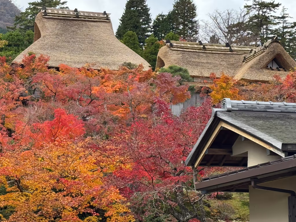 Hakone Private Tour - 