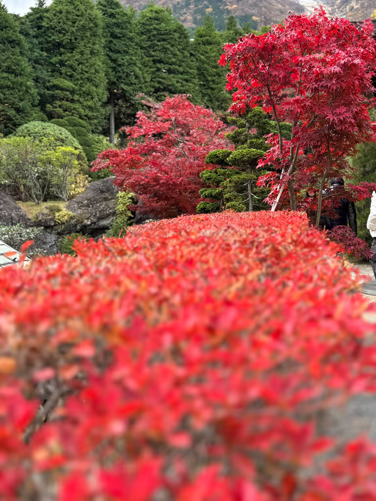 Hakone Private Tour - 