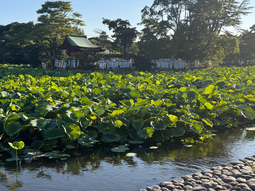 Tokyo Private Tour - 