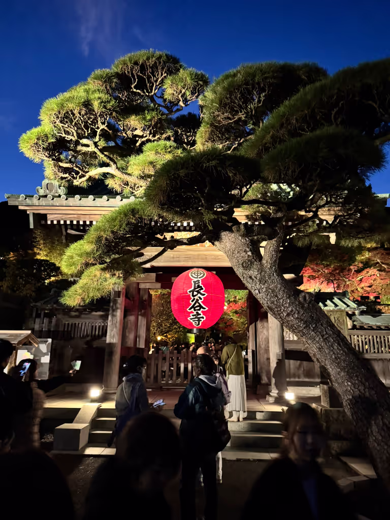 Tokyo Private Tour - 