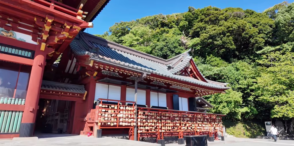 Tokyo Private Tour - 