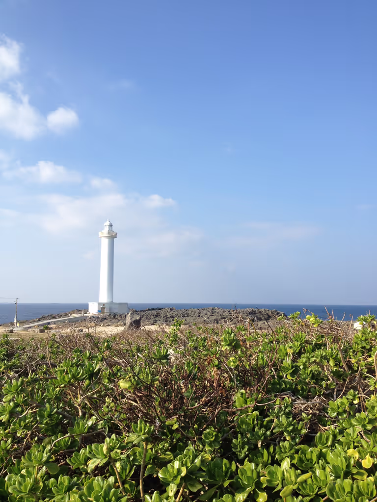 Okinawa Main Island Private Tour - 