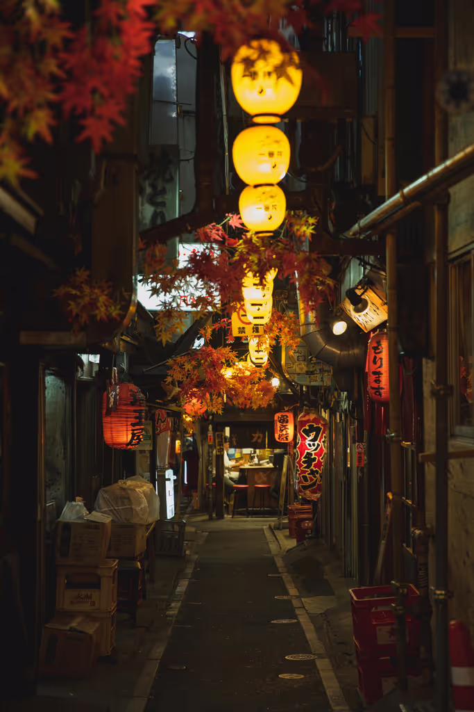 Tokyo Private Tour - 