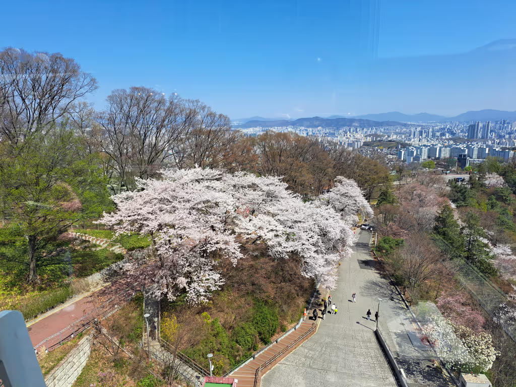 Seoul Private Tour - Mt. Namsan Park