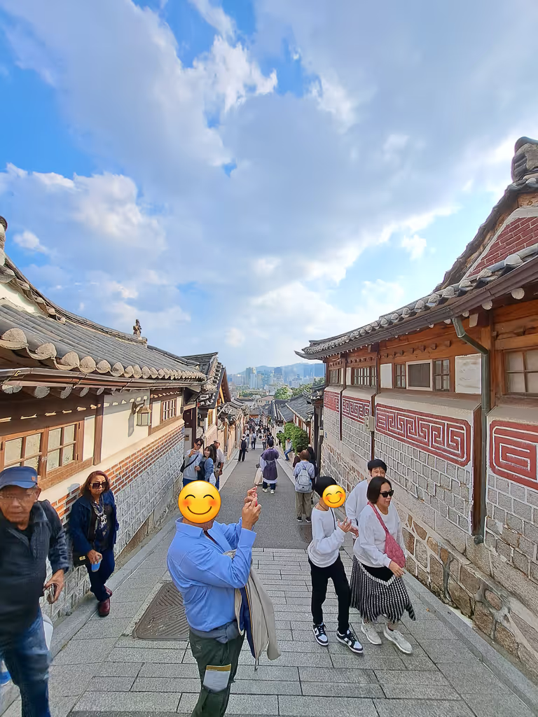 Seoul Private Tour - Bukchon Hanok Village