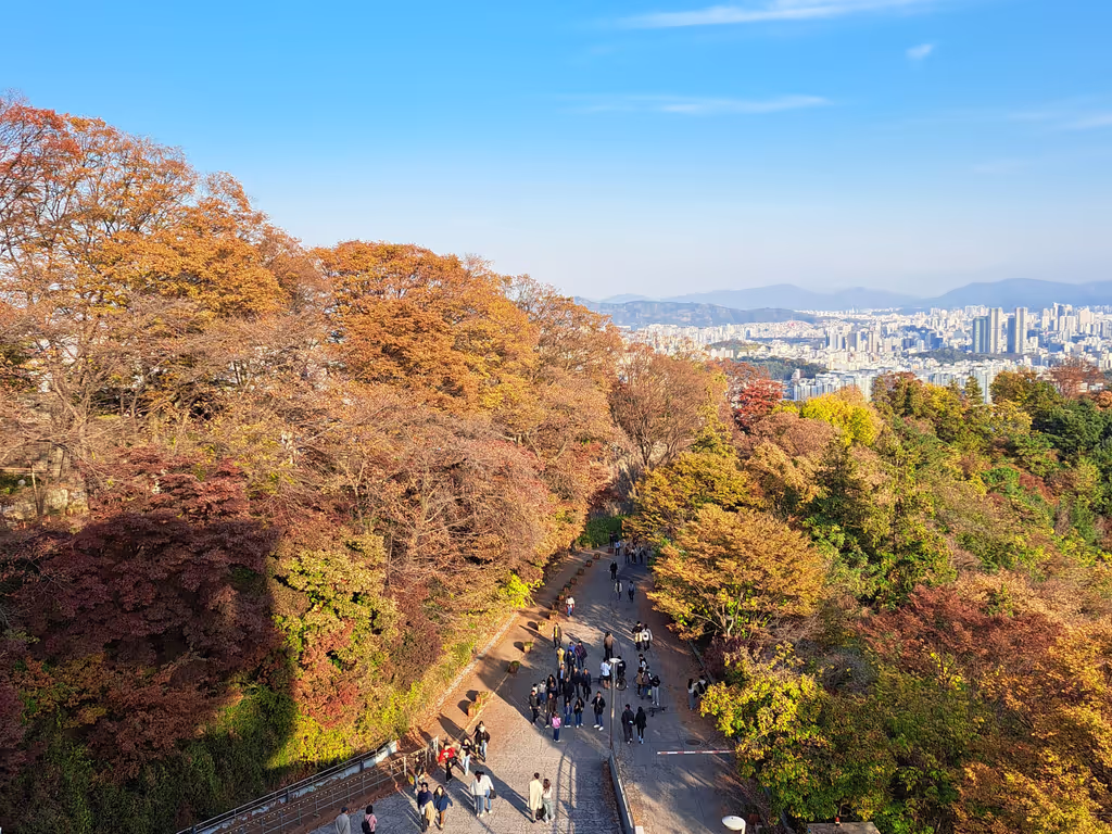 Seoul Private Tour - Mt. Namsan Park