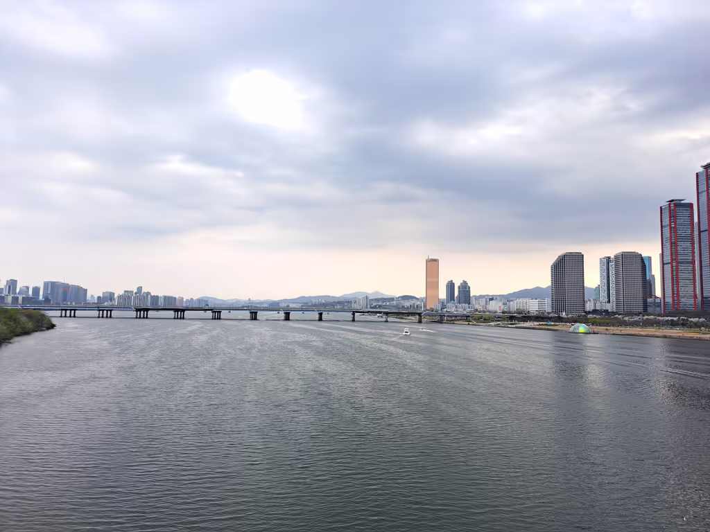 Seoul Private Tour - Yeouido Hangang Park