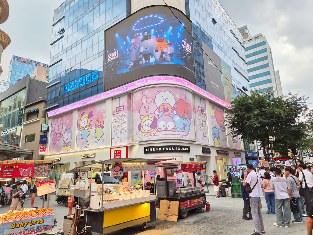 Seoul Private Tour - Myeongdong Shopping Street