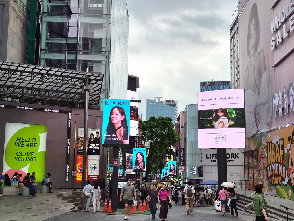 Seoul Private Tour - Myeongdong Shopping Street