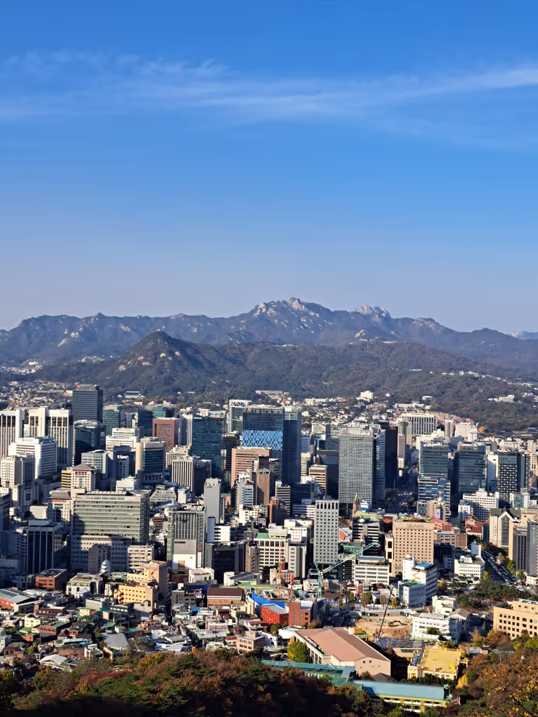 Seoul Private Tour - Mt. Namsan Park