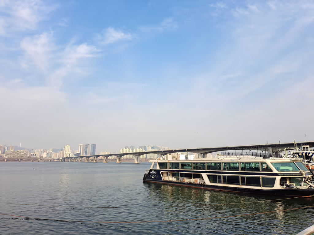 Seoul Private Tour - Yeouido Hangang Park