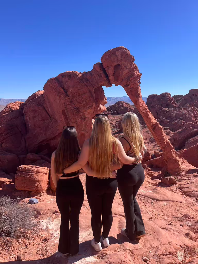 Las Vegas Private Tour - Elephant Rock at Valley of Fire