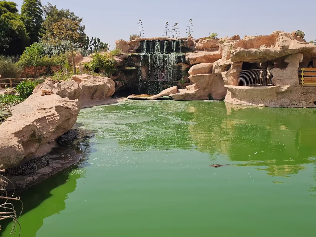 Agadir Private Tour - Crocoparc Agadir2