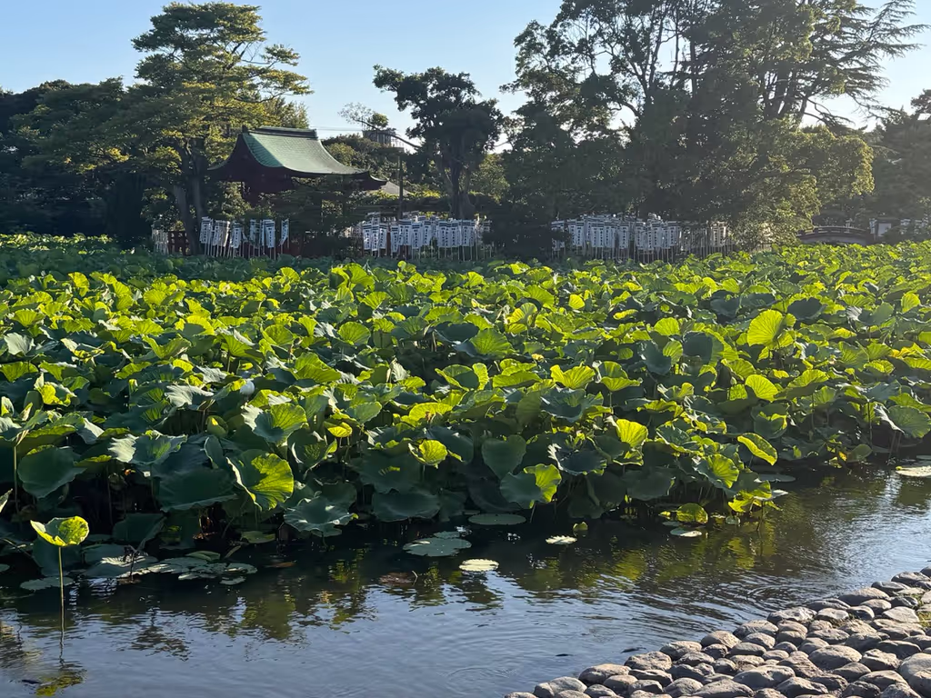 Kamakura Private Tour - 