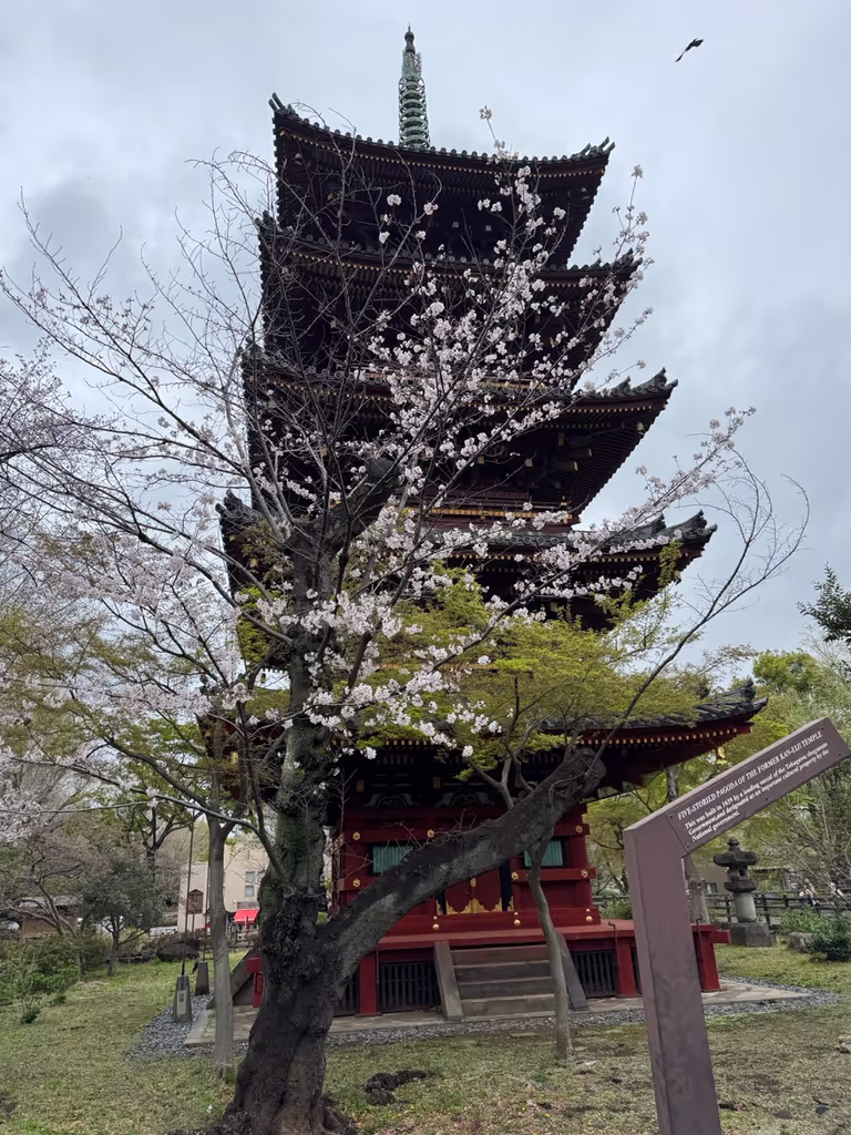 Tokyo Private Tour - 