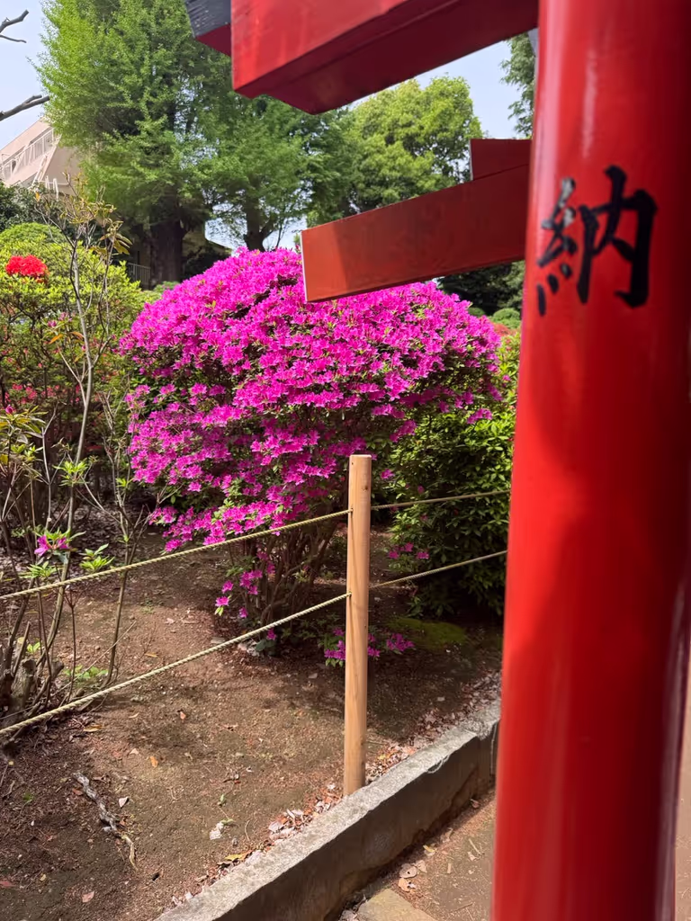 Tokyo Private Tour - 
