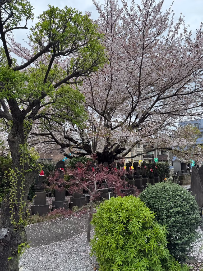 Tokyo Private Tour - 