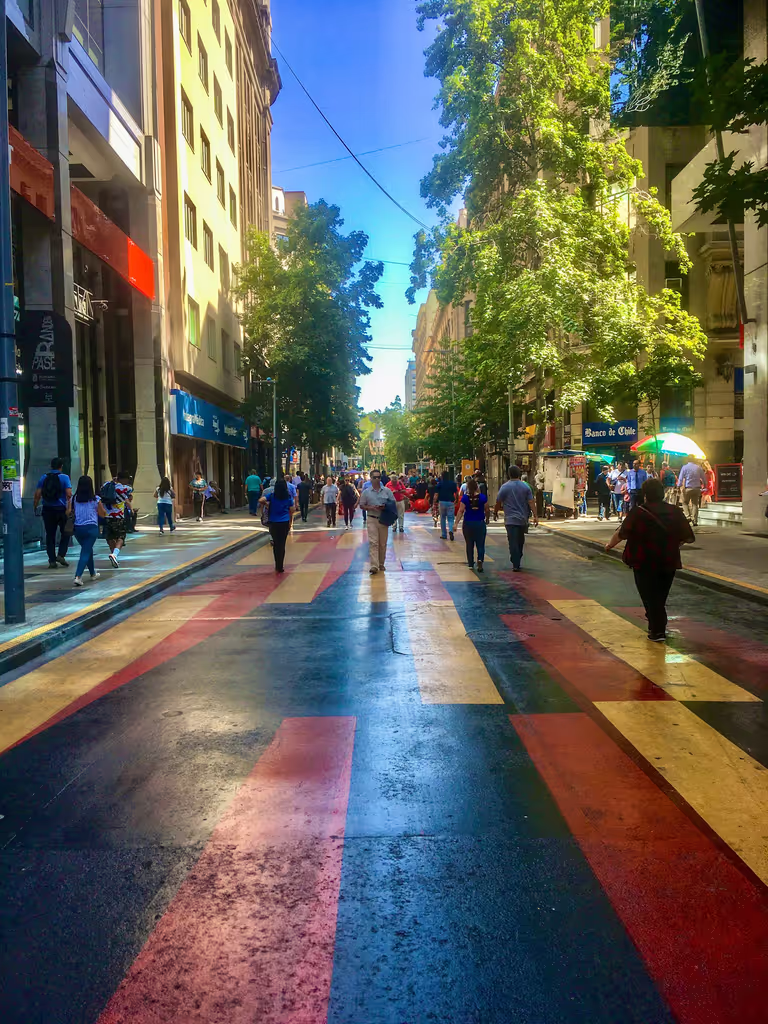 Santiago Private Tour - 