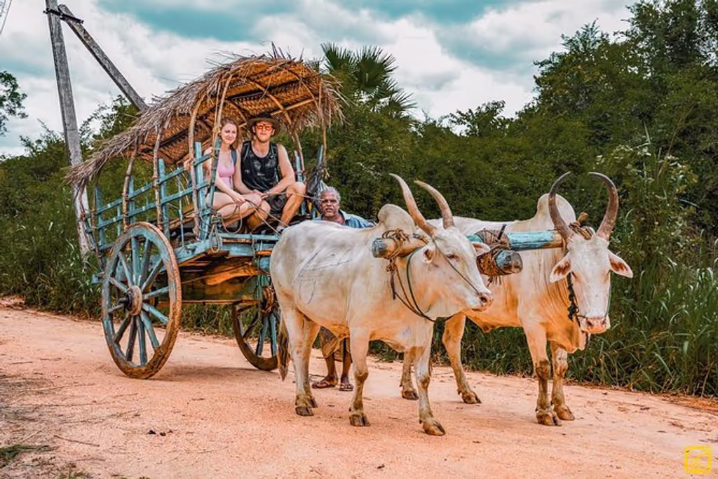Zanzibar Private Tour - 