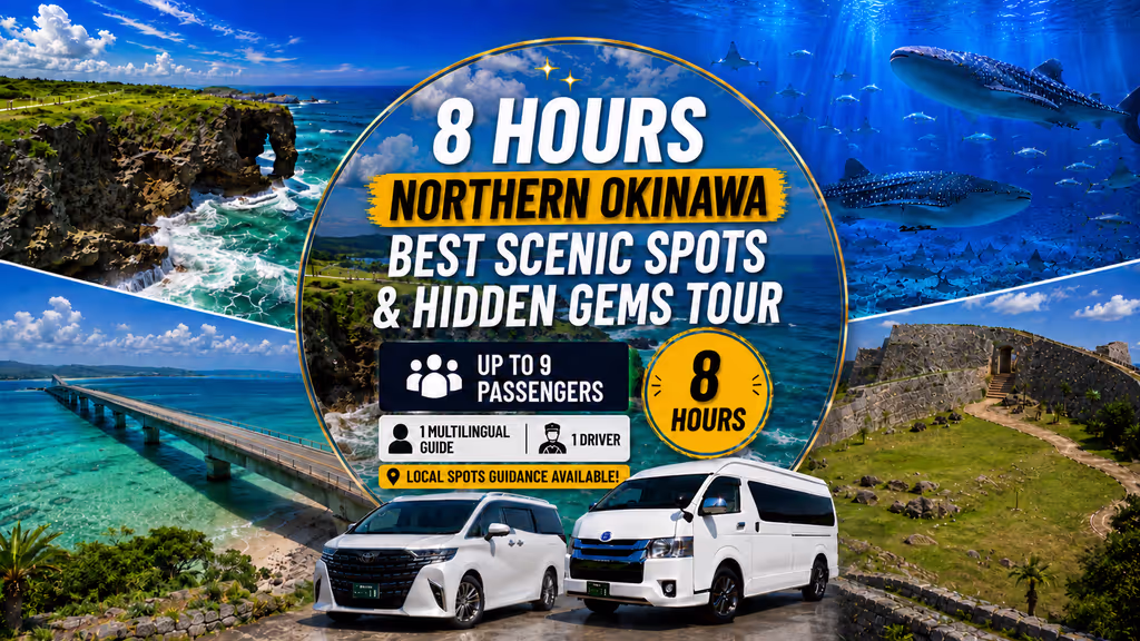 Okinawa Main Island Private Tour - 