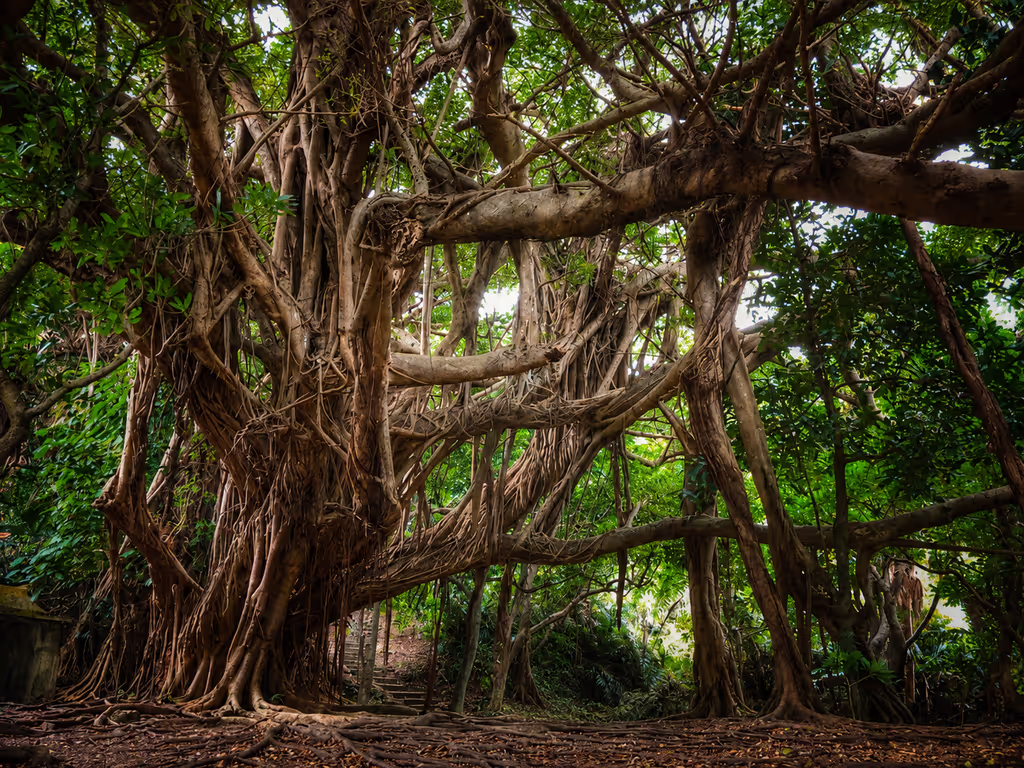 Okinawa Main Island Private Tour - 