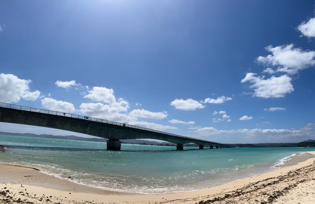 Okinawa Main Island Private Tour - 