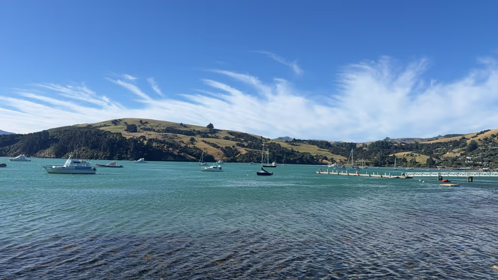 Christchurch Private Tour - akaroa