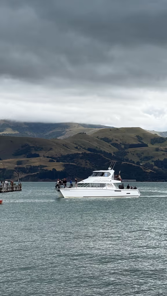Christchurch Private Tour - cruise