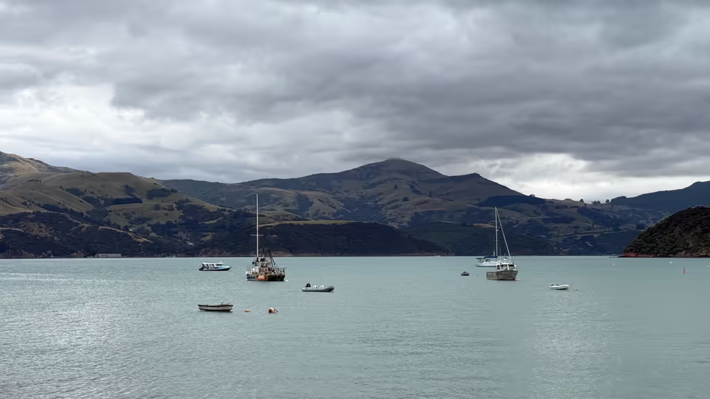 Christchurch Private Tour - akaroa