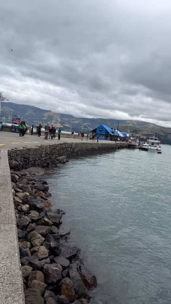 Christchurch Private Tour - akaroa