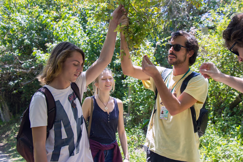 Florianopolis Private Tour - Local fruits and herbs